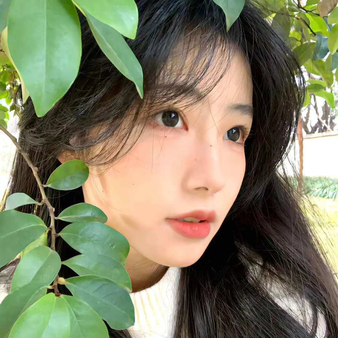 尼布拉斯加公主